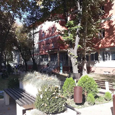 Lägenhet Karadjordje 2