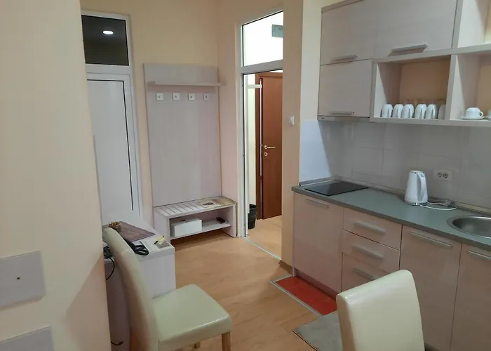 Apartament Karadjordje 2 *